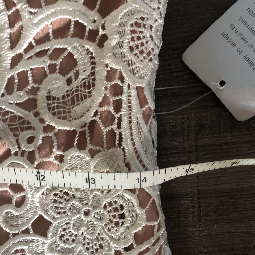 NWT DRESS THE POPULATION Lace Dress (S) - Ivory - Picture 12 of 14